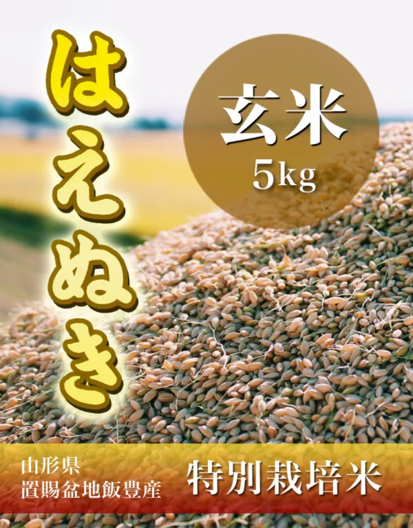 【H29新米】【玄米】はえぬき5kg 山形県飯豊町産 特別栽培米