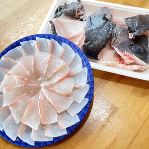 【松島産】石鯛の刺身（カット済み）