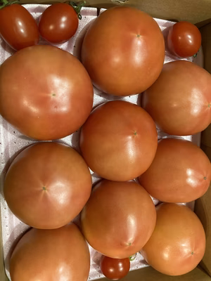 みんなの投稿の画像