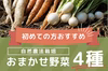 【お試し4点セット】65年以上続く自然農法の旬野菜4点セット！