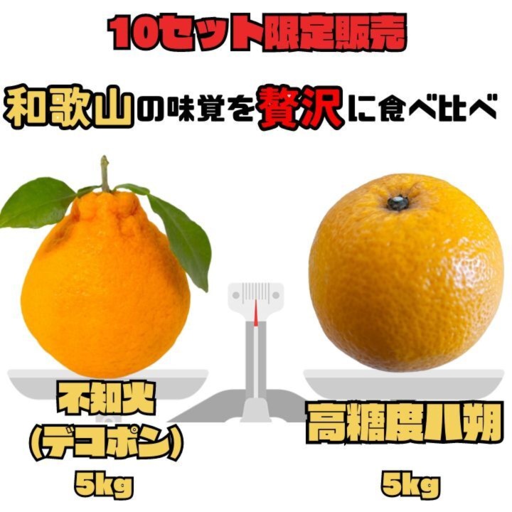 限定特価 有田のでこぽん 5kg トロトロで甘い 和歌山 みかん 有田