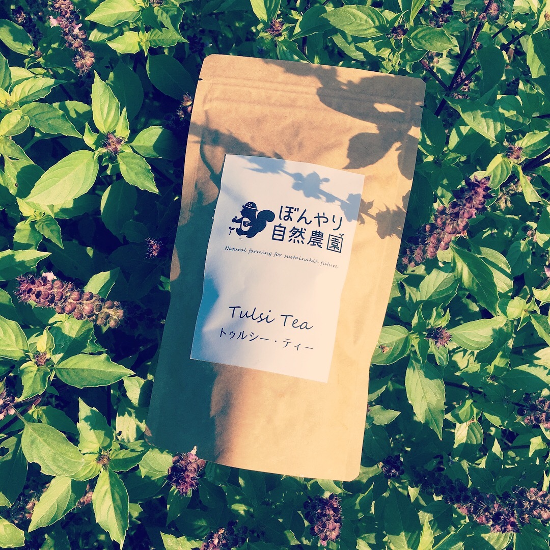 令和7年の新茶の産直通販・お取り寄せ商品｜ポケットマルシェ｜産地