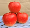 赤い逸品！岩手江刺産【ジョナゴールド】★家庭用