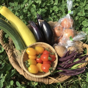 【那須高原】無農薬・無化学肥料　お野菜セット
