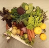 季節のカラフル野菜ボリュームセット