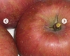 減農薬栽培　美味しい訳有り　ツル割れサンふじりんご　家庭用３キロ箱　