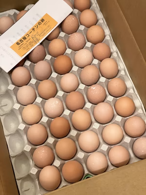 みんなの投稿の画像