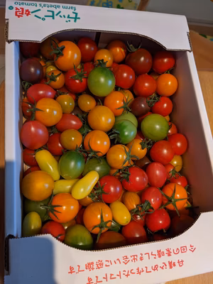 みんなの投稿の画像