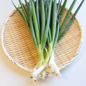 和らぎ農法　九条ねぎ（1袋）