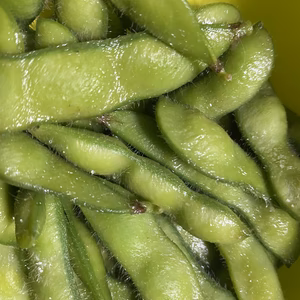 会津の枝豆　湯あがり娘　1.2キロ