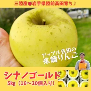 【米崎りんご】シナノゴールド　酸味と甘みのバランス絶妙～！