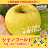 【米崎りんご】シナノゴールド　酸味と甘みのバランス絶妙～！