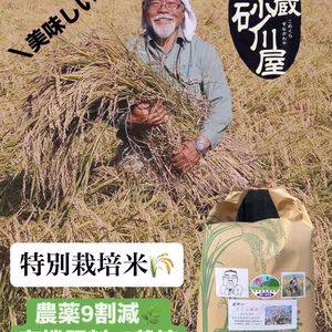 【特別栽培米】鹿野のさくら姫米　コシヒカリ 5kg