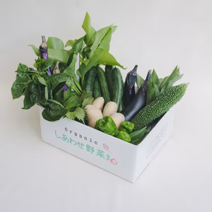 有機JAS認証の有機野菜セット