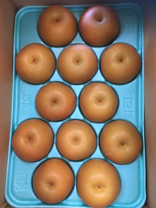 【お届けは8/31過ぎ】甘くなるまで待ちました！【4L〜5L】豊水梨 