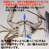 出汁半端ない！旨い蟹汁用！石蟹小サイズ２kg～ イシガニ 冷凍出荷 