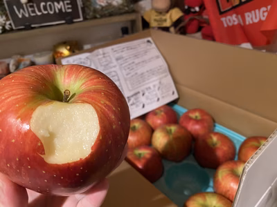 みんなの投稿の画像