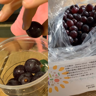 みんなの投稿の画像