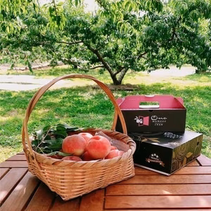 【全国桃グランプリ3冠】絶滅危惧種から復刻した桃好き必見品種『西野白桃』約2キロ