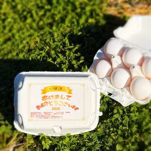 【福袋2026】❗新年初産❗️元旦宮タマ(白)×36個※1月1～3日発送※