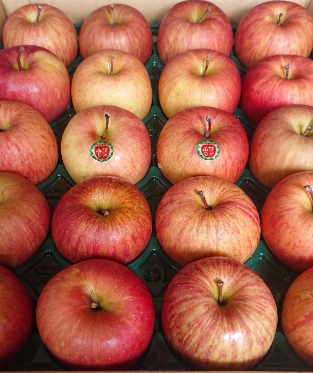 青森りんご 糖度13%以上オリジナル自然りんご農法訳アリ葉とらずサン