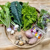 無農薬！金沢のおまかせ野菜詰め合わせ【6-7品目】