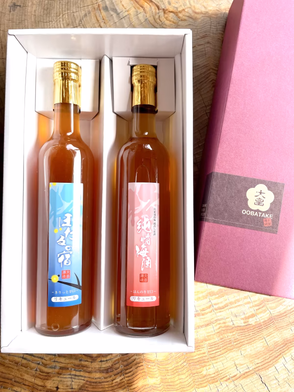 梅農家による甘辛梅酒　500ml 2本セット のみくらべ　辛口梅酒