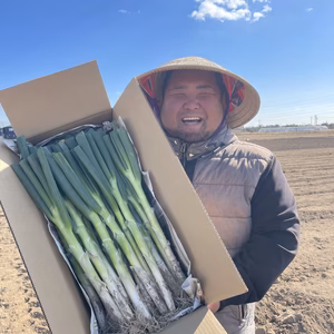 【数量限定品】～泥付きネギ S M Lサイズ混合セット～白みの長い根深ネギ！！