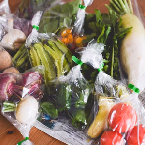 【贈り物】旬こそ力！野菜セット～農薬/化学肥料・不使用