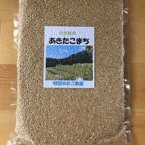 【自然栽培】あきたこまち玄米950g　農薬不使用・無肥料栽培　令和5年産