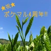 【㊗️ポケマル4️⃣周年】斉藤茶園贅沢セット(限定8セット)
