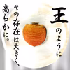 【ほんだ屋の最高峰。】贅沢半熟生とろ食感プレミアムあんぽ柿「HONDANPO」