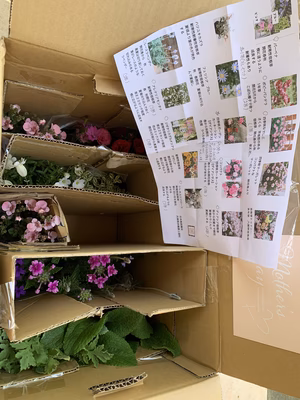 みんなの投稿の画像