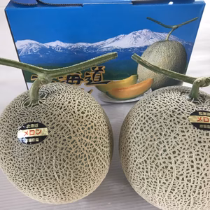 岸田農園の北海道メロン［特大玉(2.5kg以上)2玉入]