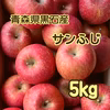 青森県産サンふじ(5キロ)