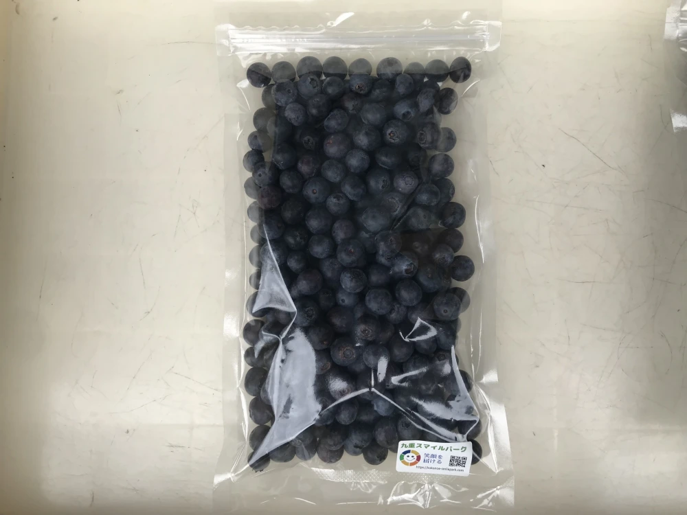 朝摘みブルーベリー（冷凍350g×３パック）農薬不使用