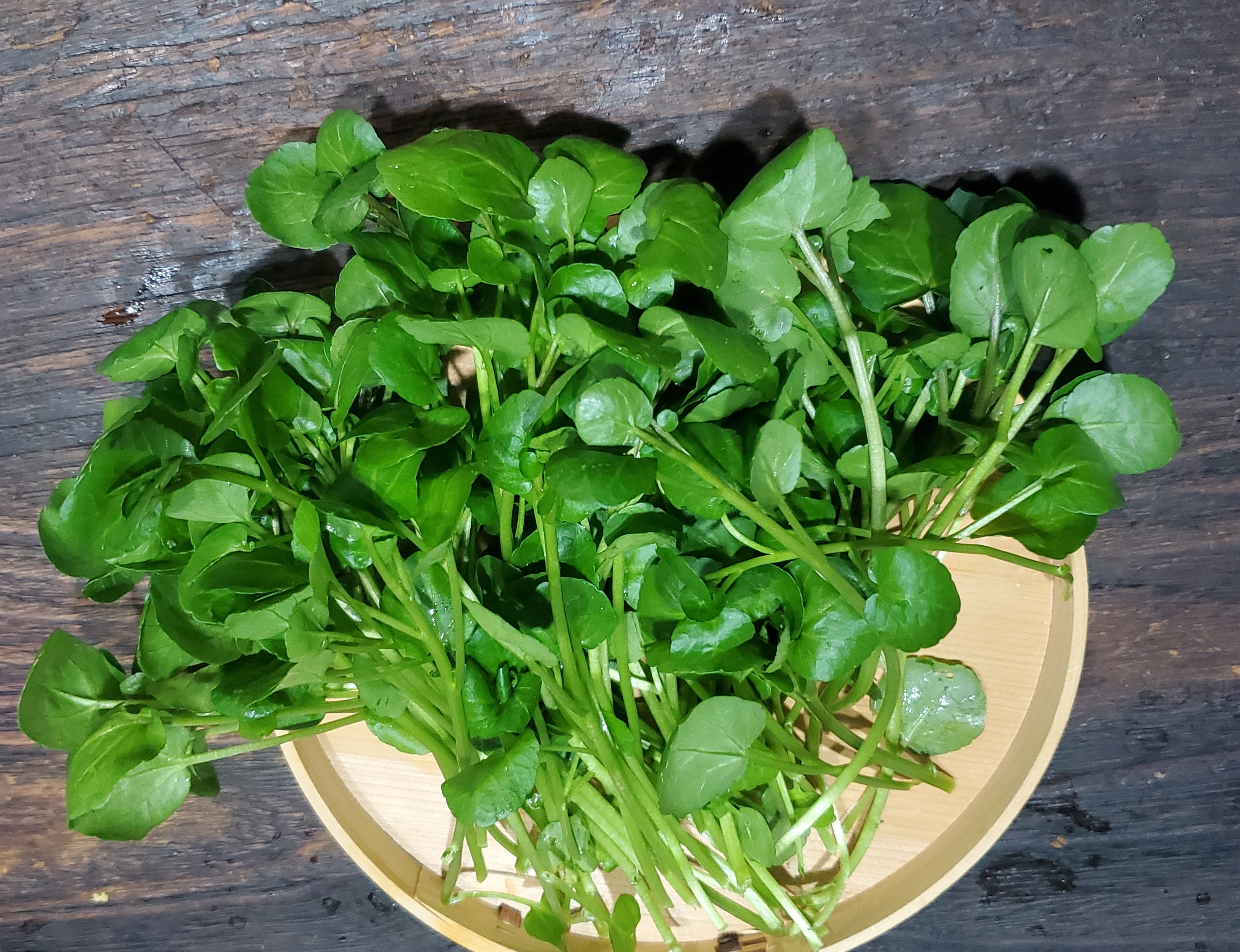 クレソンの通販・お取り寄せ商品｜野菜｜ポケットマルシェ｜産地直送で