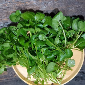 【特選】極細クレソン