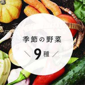 モリモリ秋冬野菜セット（100サイズぱんぱん！）