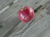 加工用 紅玉りんご 4.5キロ
