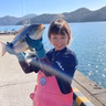 今本海生