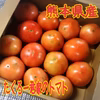 たくろー君家のトマト
