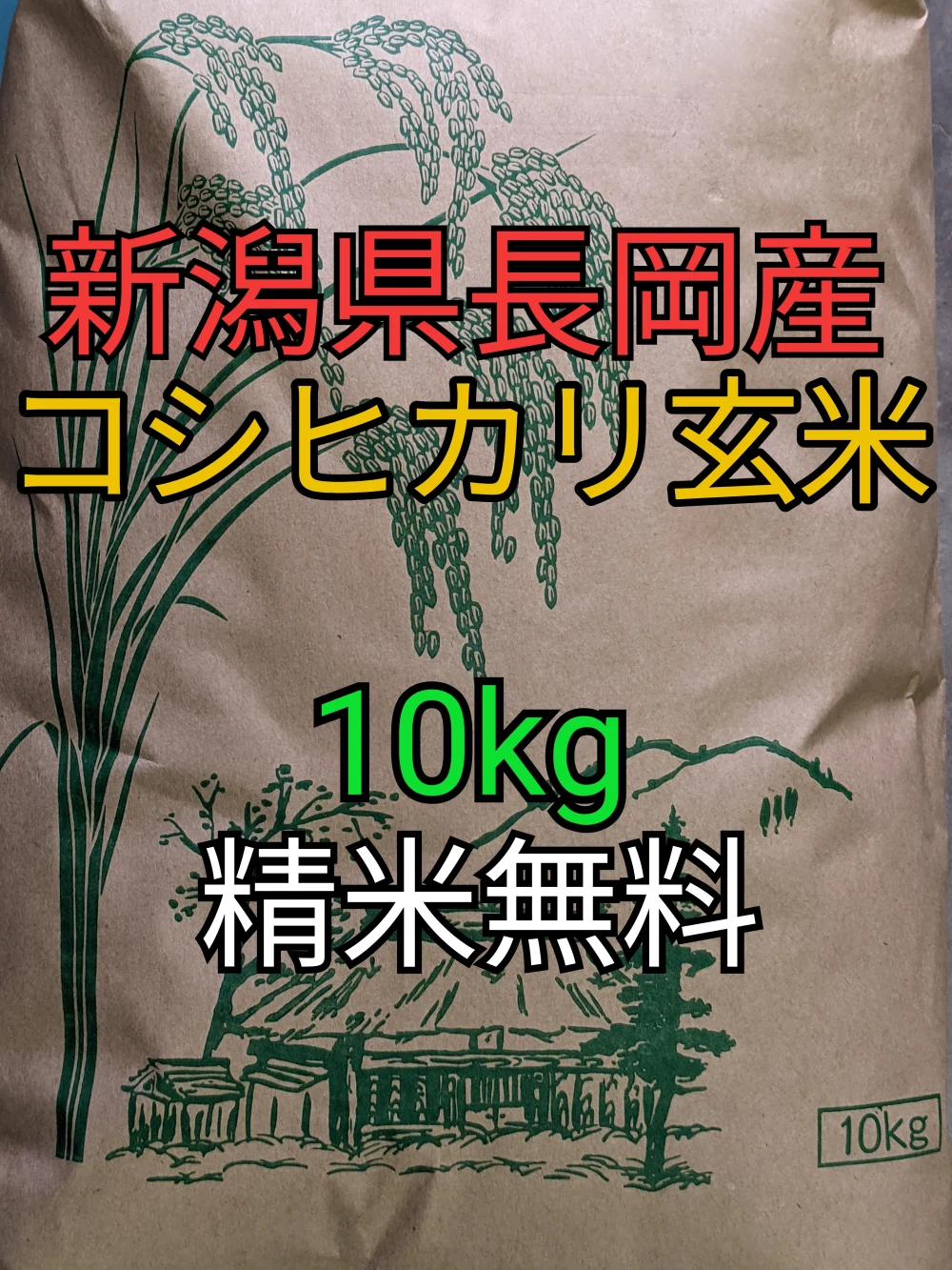 【新大特価SALE】令和4年度新米新潟県長岡産コシヒカリ10kg玄米【精米無料】