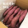 【高知から秋をお届け】ホッコリ甘い！さつまいも（紅はるか）