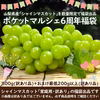 【6周年福袋】山梨県産シャインマスカット800g+おまけ【訳あり】