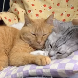 こためる母さん