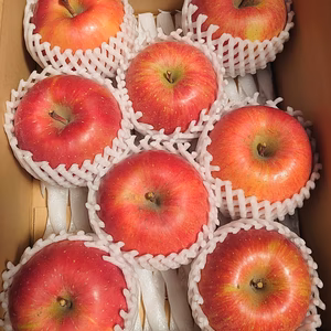 葉とらず　あかぎ　 約2Ｋ