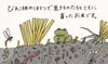 【農薬化学肥料不使用】コシヒカリ・玄米（2022年産）