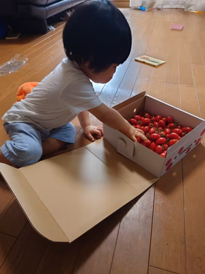 みんなの投稿の画像