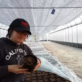 浅田仁美 | 美味しいトマトの研究所